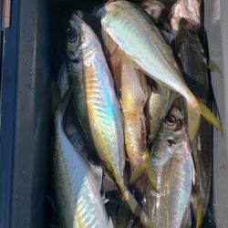 海龍丸（石川） 釣果