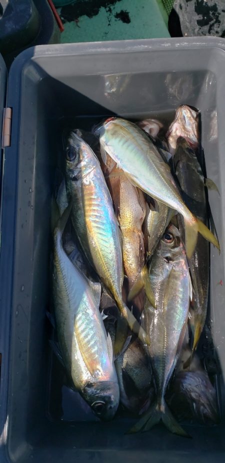 海龍丸（石川） 釣果