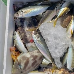 海龍丸（石川） 釣果