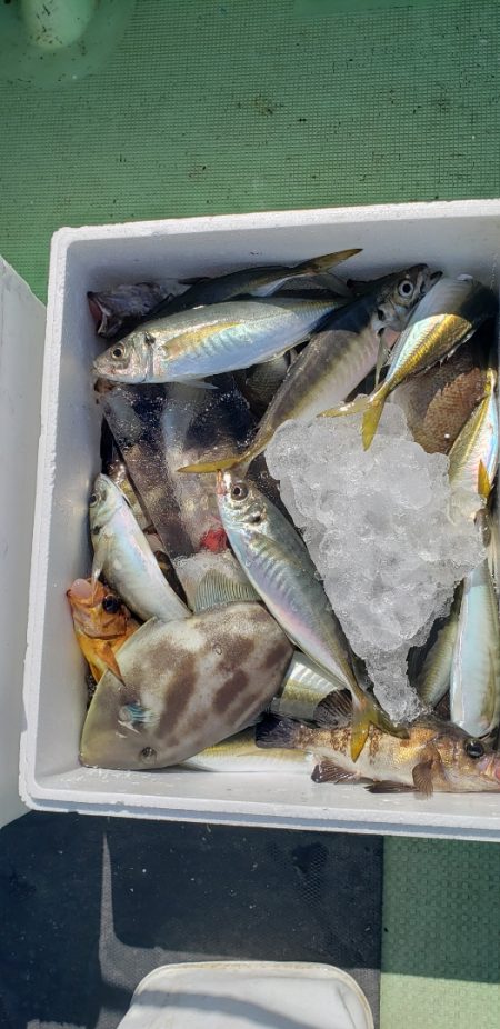 海龍丸（石川） 釣果