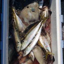 海龍丸（石川） 釣果