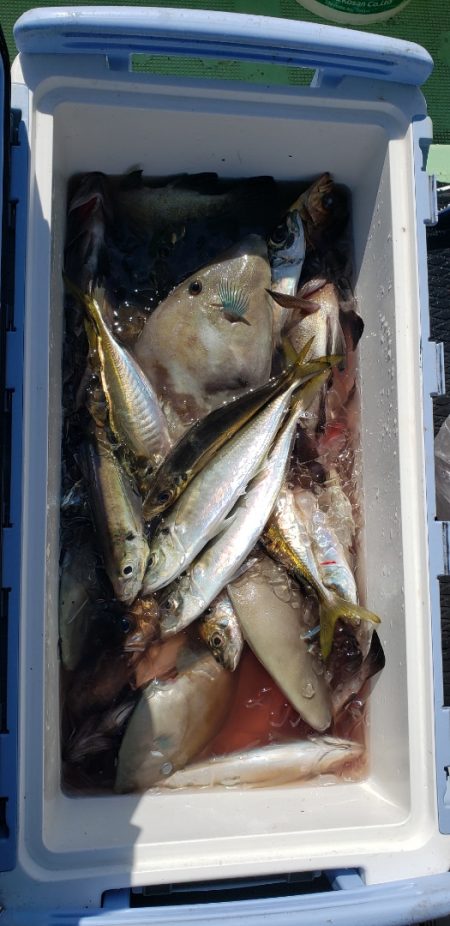 海龍丸（石川） 釣果