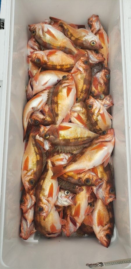 海龍丸（石川） 釣果