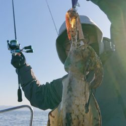 シースナイパー海龍 釣果