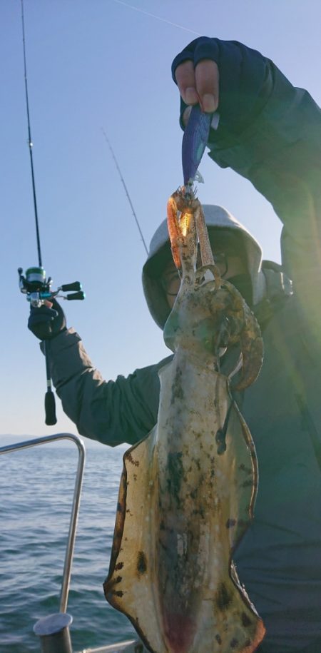 シースナイパー海龍 釣果