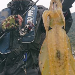 シースナイパー海龍 釣果