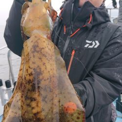 シースナイパー海龍 釣果