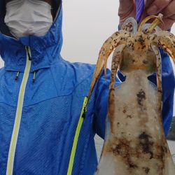 シースナイパー海龍 釣果