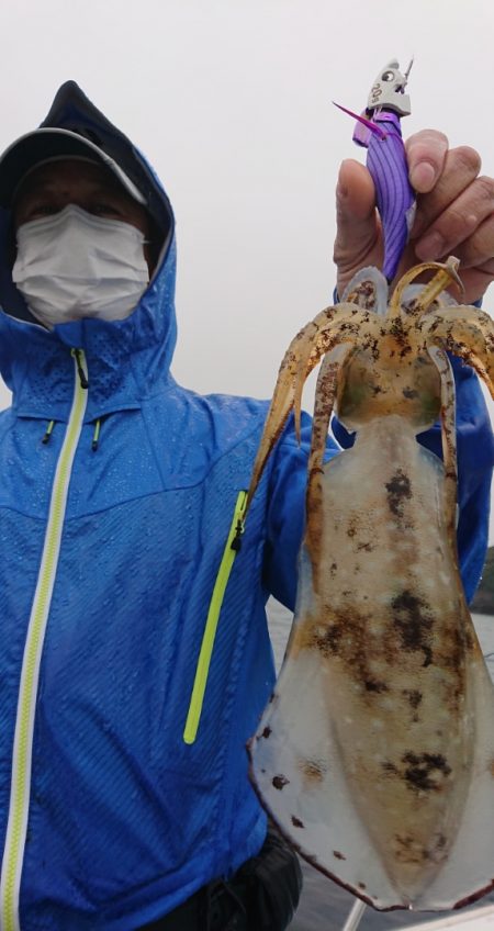 シースナイパー海龍 釣果