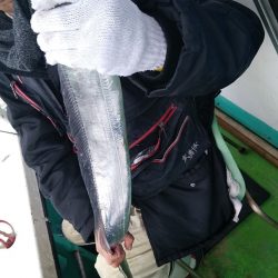 小島丸 釣果