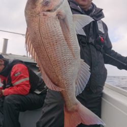 だて丸 釣果