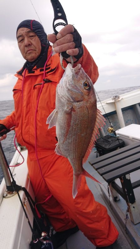 だて丸 釣果