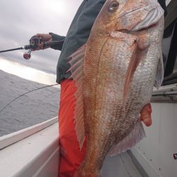 だて丸 釣果