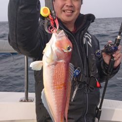 ARCADIAⅡ （アルカディアⅡ） 釣果