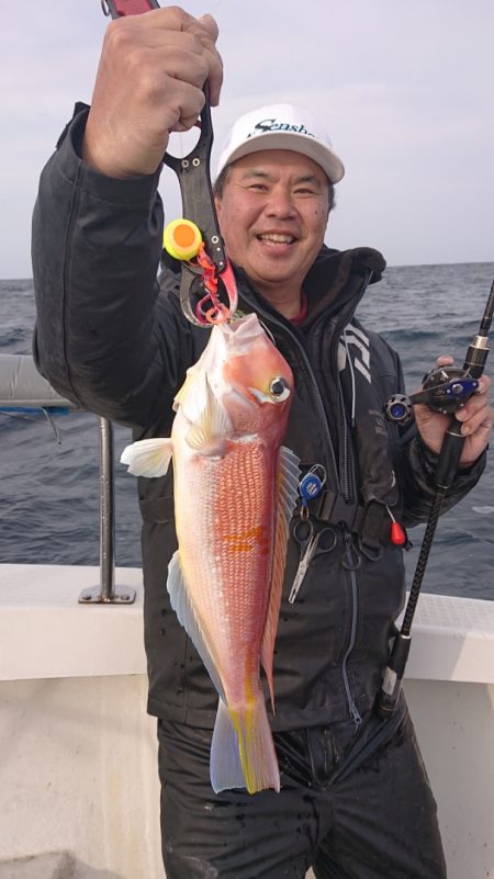 ARCADIAⅡ （アルカディアⅡ） 釣果