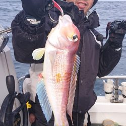 ARCADIAⅡ （アルカディアⅡ） 釣果