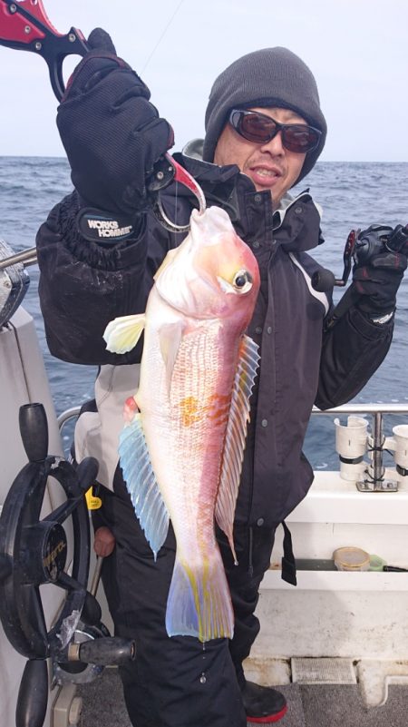 ARCADIAⅡ （アルカディアⅡ） 釣果