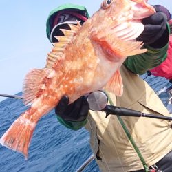 ARCADIAⅡ （アルカディアⅡ） 釣果