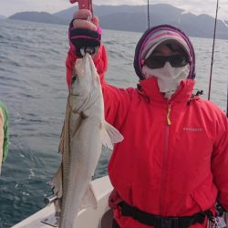 ARCADIAⅡ （アルカディアⅡ） 釣果