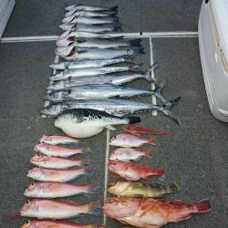 ARCADIAⅡ （アルカディアⅡ） 釣果