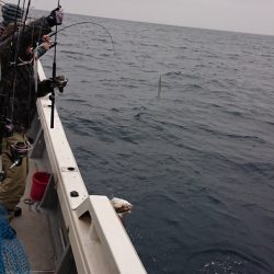 海皇丸 釣果