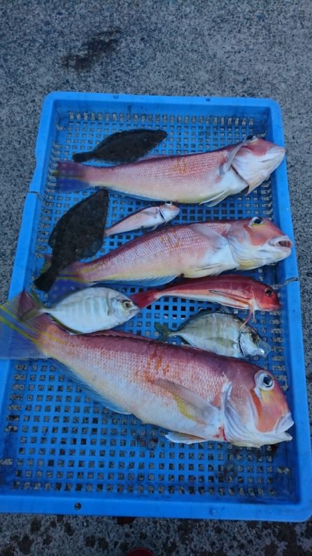 第三共栄丸 釣果