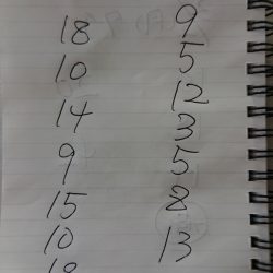 金沢八景鴨下丸 釣果