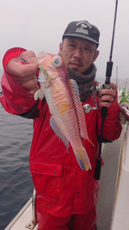 ARCADIAⅡ （アルカディアⅡ） 釣果…