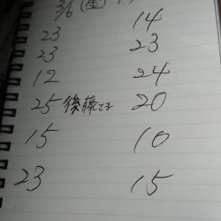 金沢八景鴨下丸 釣果