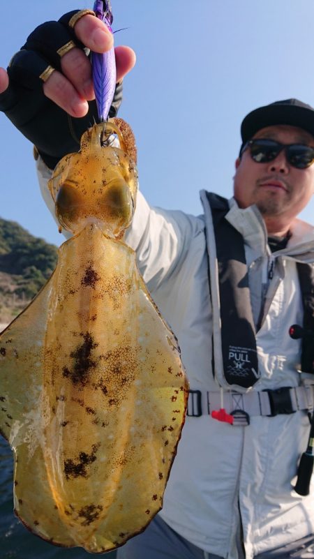 シースナイパー海龍 釣果