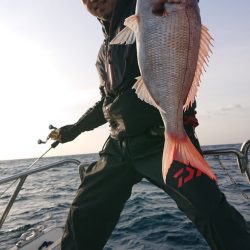 だて丸 釣果