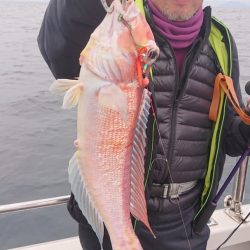 ARCADIAⅡ （アルカディアⅡ） 釣果