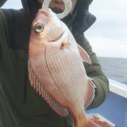 新幸丸 釣果