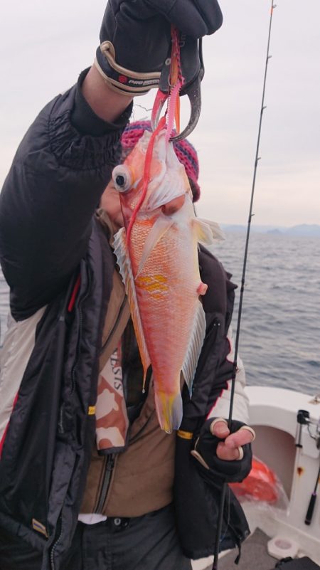 ARCADIAⅡ （アルカディアⅡ） 釣果