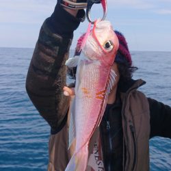 ARCADIAⅡ （アルカディアⅡ） 釣果