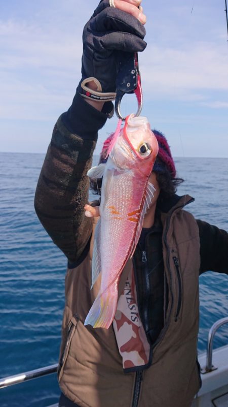 ARCADIAⅡ （アルカディアⅡ） 釣果