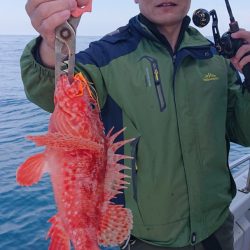 ARCADIAⅡ （アルカディアⅡ） 釣果