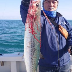 ARCADIAⅡ （アルカディアⅡ） 釣果