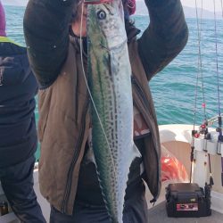 ARCADIAⅡ （アルカディアⅡ） 釣果