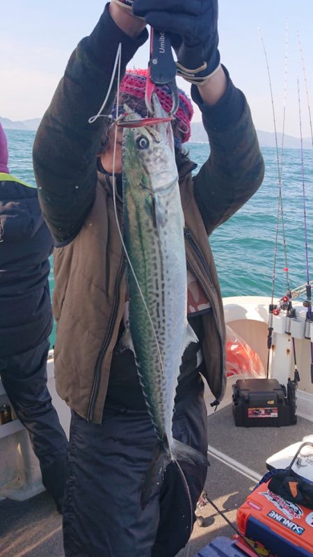 ARCADIAⅡ （アルカディアⅡ） 釣果