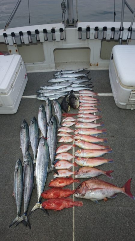 ARCADIAⅡ （アルカディアⅡ） 釣果