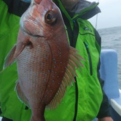 新幸丸 釣果