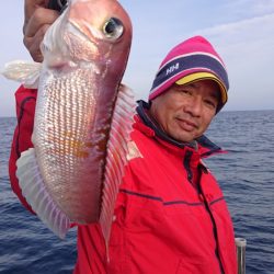 ARCADIAⅡ (アルカディアⅡ) 釣果