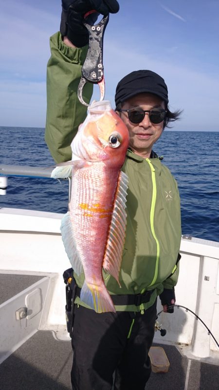 ARCADIAⅡ (アルカディアⅡ) 釣果