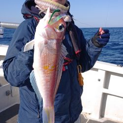 ARCADIAⅡ (アルカディアⅡ) 釣果