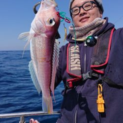 ARCADIAⅡ (アルカディアⅡ) 釣果