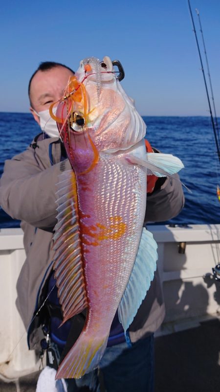 ARCADIAⅡ (アルカディアⅡ) 釣果