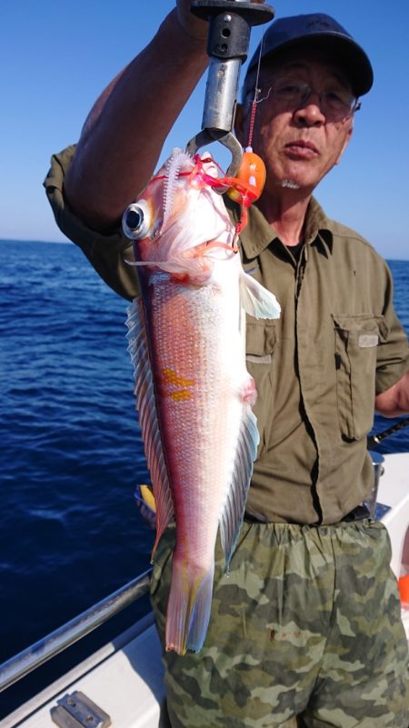 ARCADIAⅡ (アルカディアⅡ) 釣果