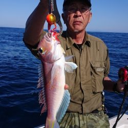 ARCADIAⅡ (アルカディアⅡ) 釣果