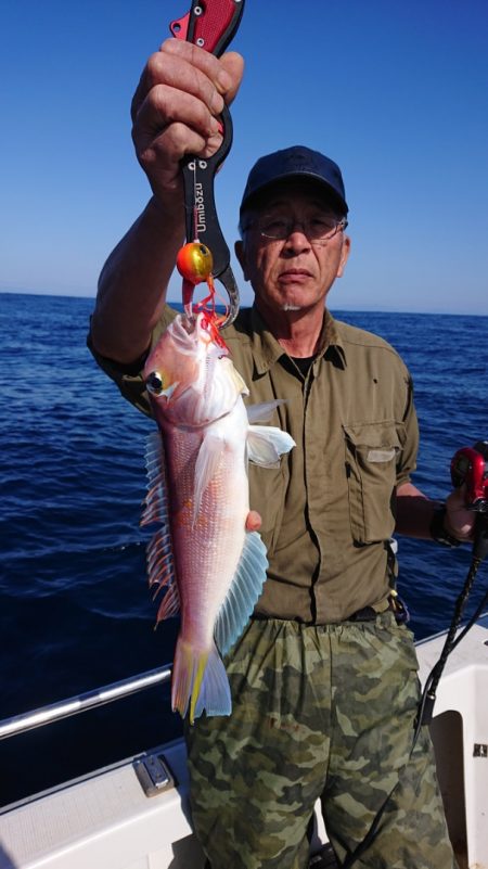 ARCADIAⅡ (アルカディアⅡ) 釣果